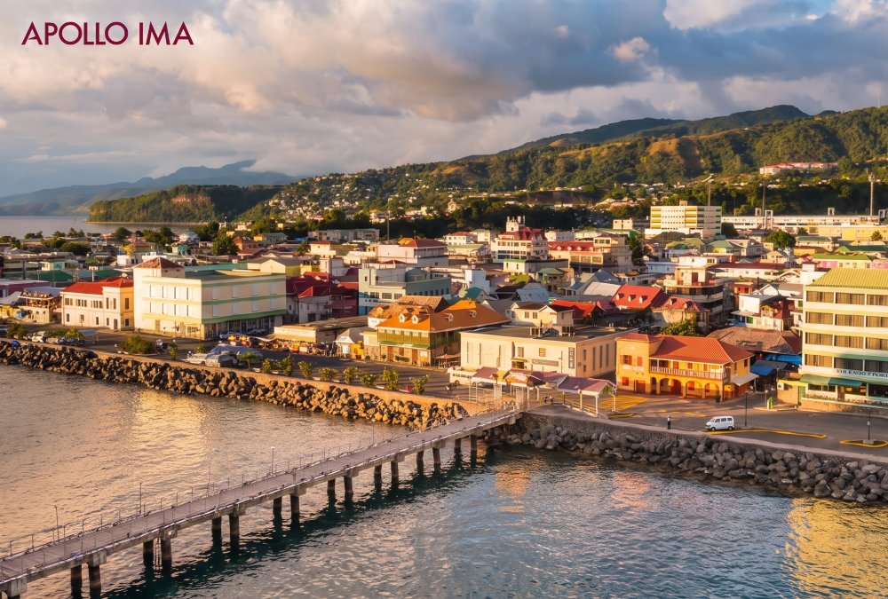 Dominica Introduces Mandatory