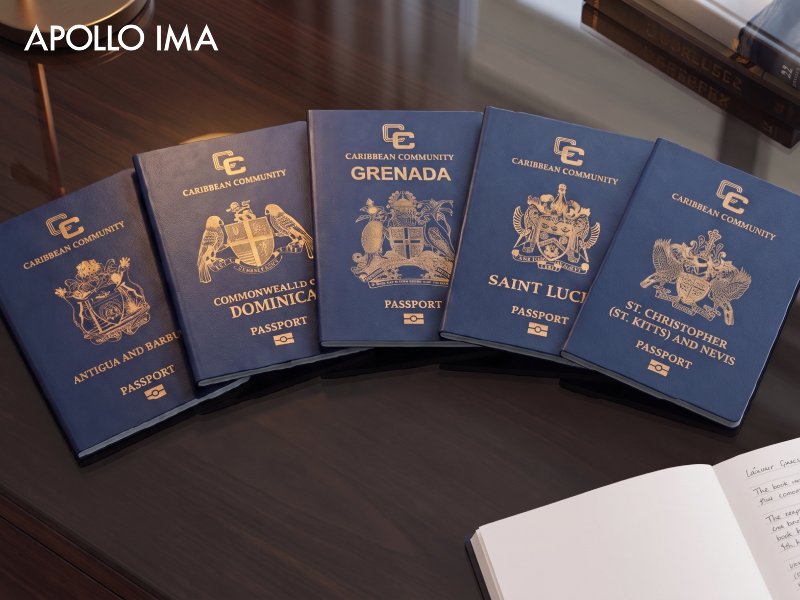 SECOND PASSPORT